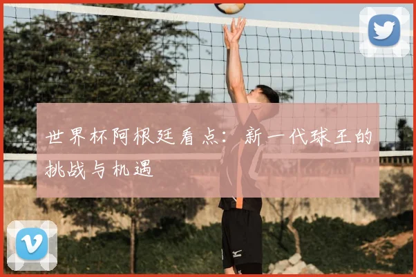 世界杯阿根廷看点：新一代球王的挑战与机遇