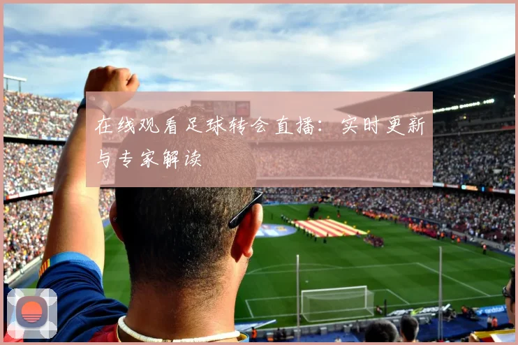 在线观看足球转会直播：实时更新与专家解读