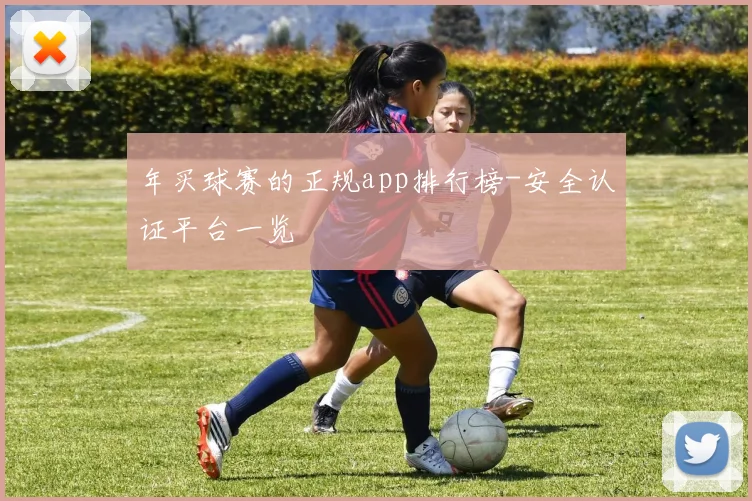 年买球赛的正规app排行榜-安全认证平台一览